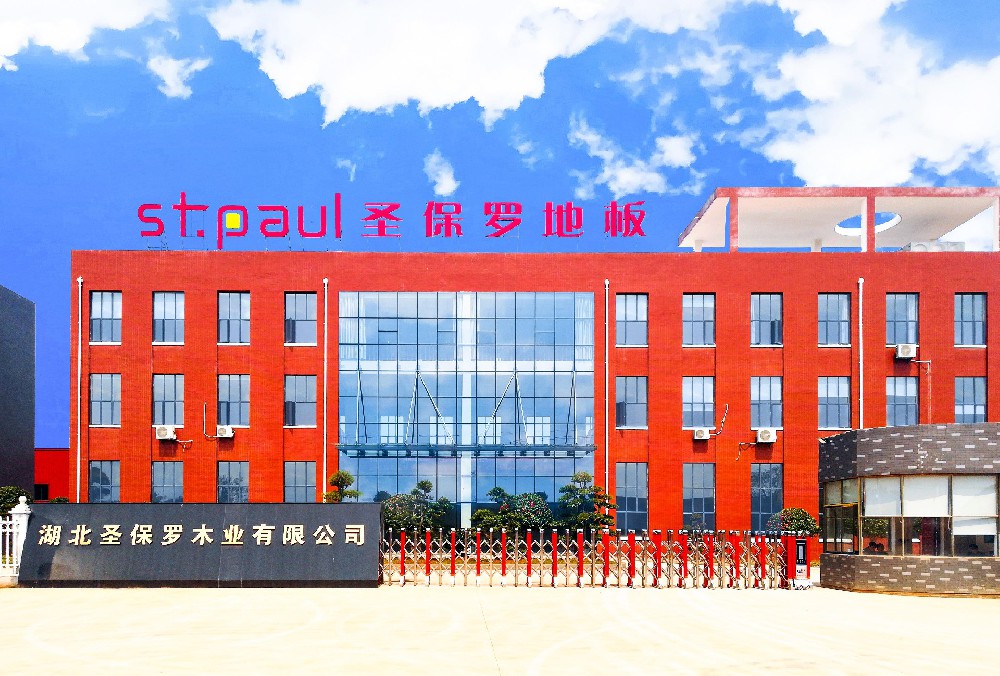 步履不停 樹立行業(yè)標(biāo)桿—圣保羅家居科技有限公司董事長(zhǎng)楊素文