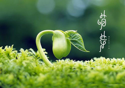 圣保羅：2017，我們談談理想